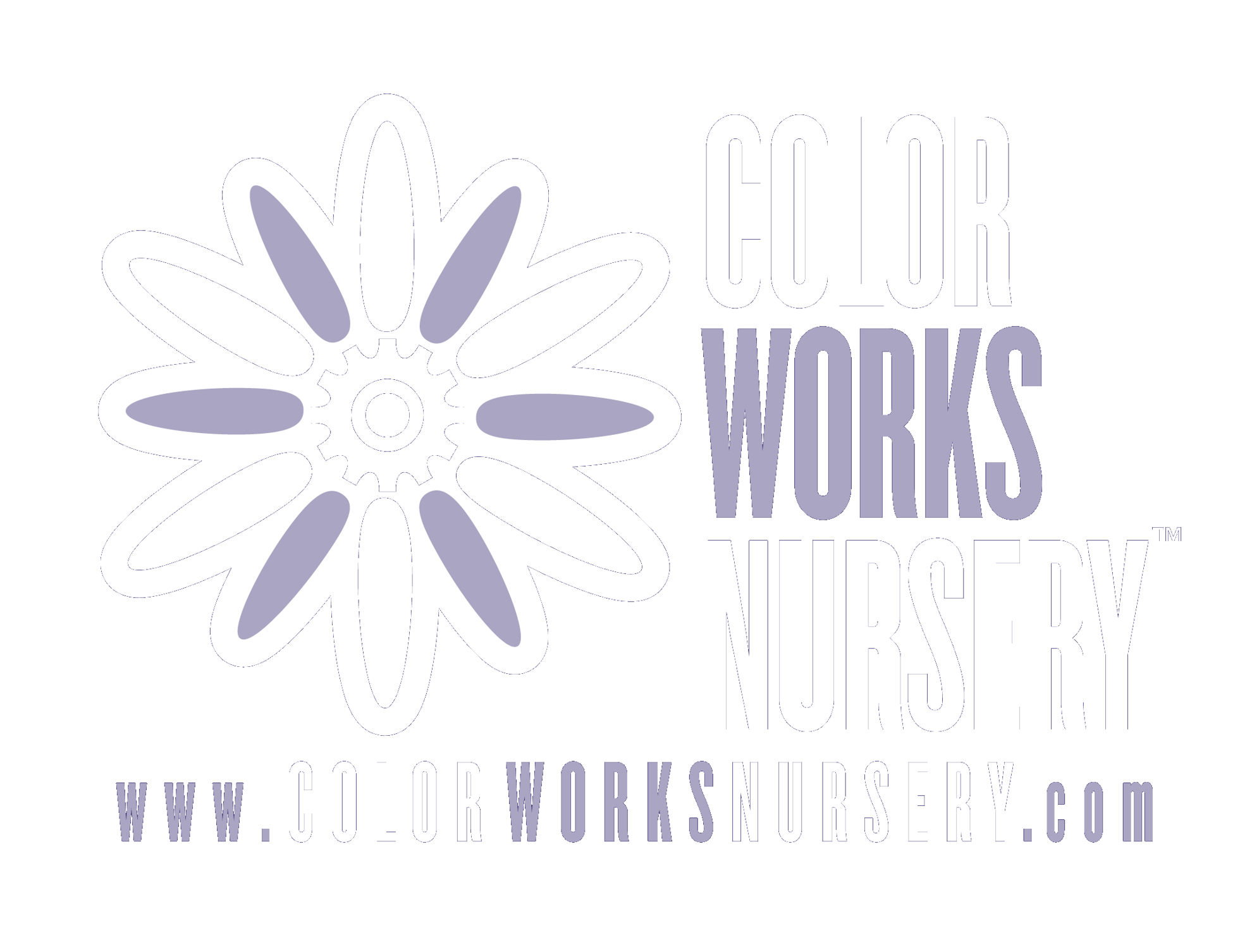 Color Works Nursery